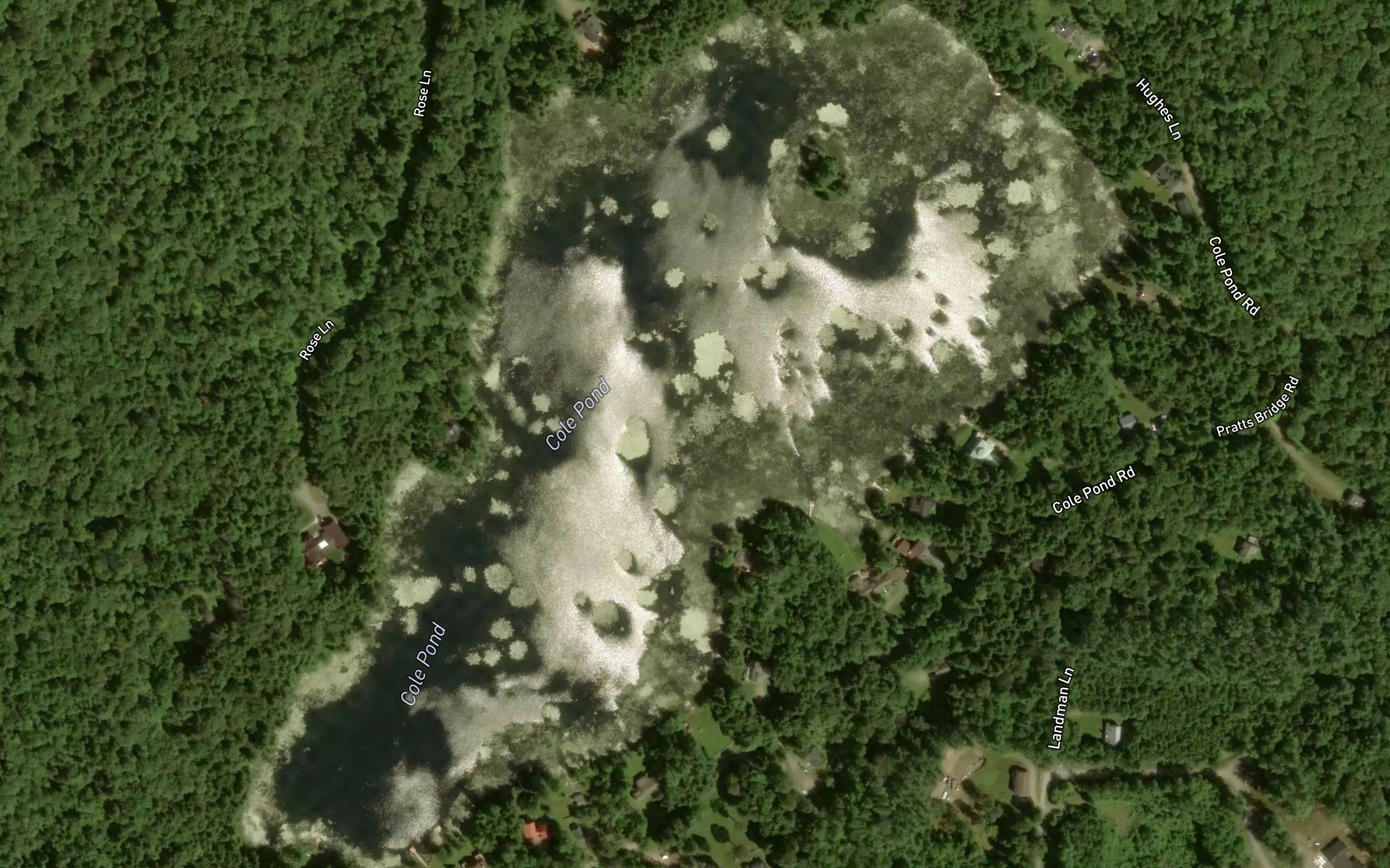 Cole Pond