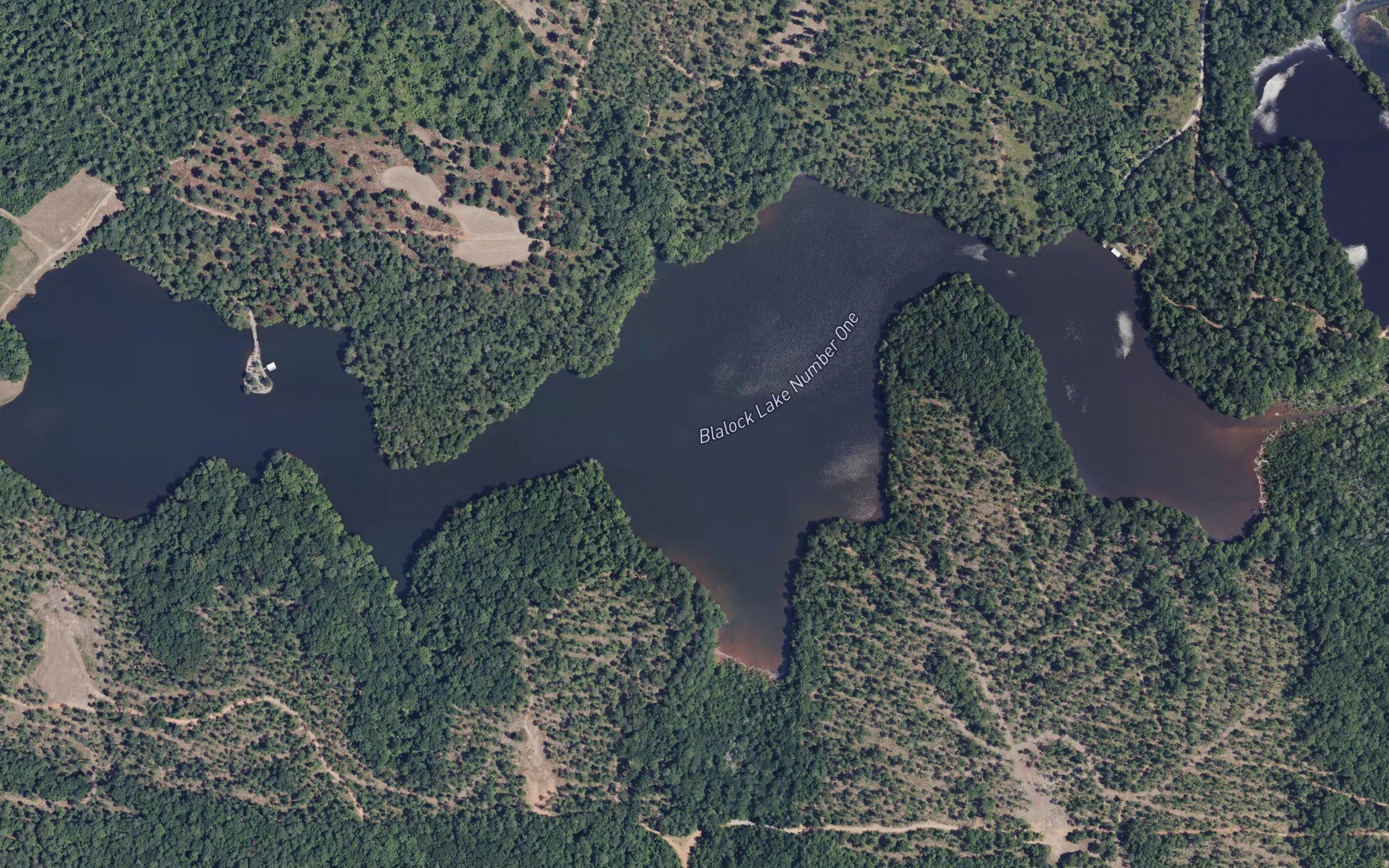 Blalock Lake Number One