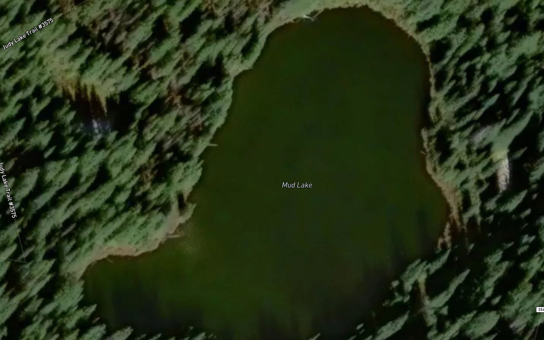 Satellite map of the Mud Lake
