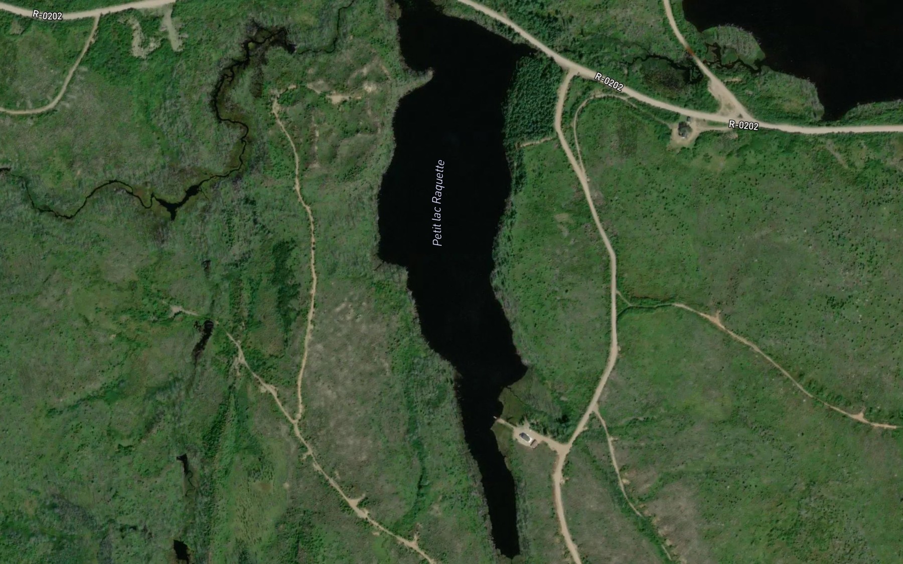 Satellite map of the Petit lac Raquette