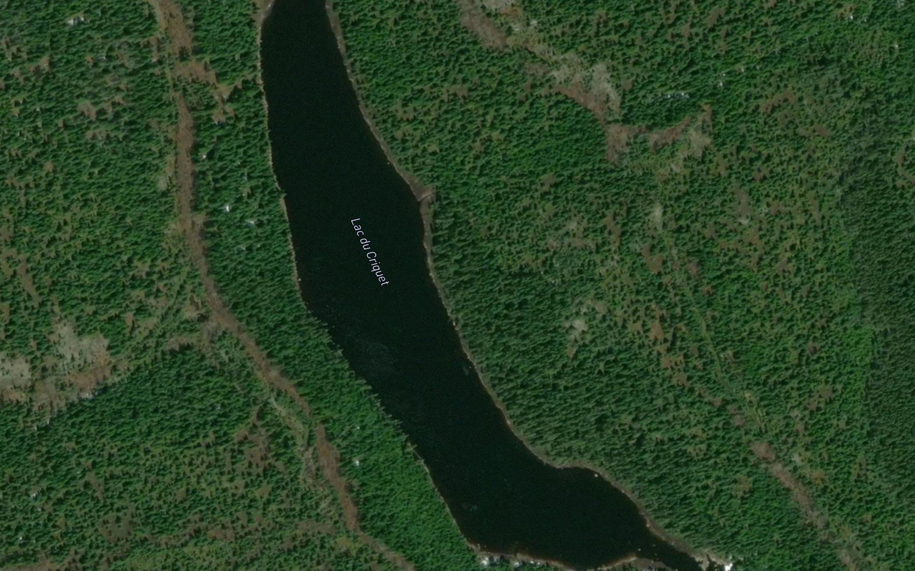 Satellite map of the Lac du Criquet