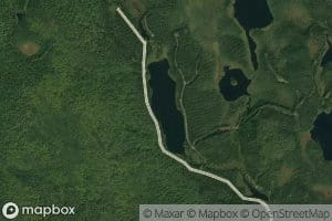 Lac Lily
