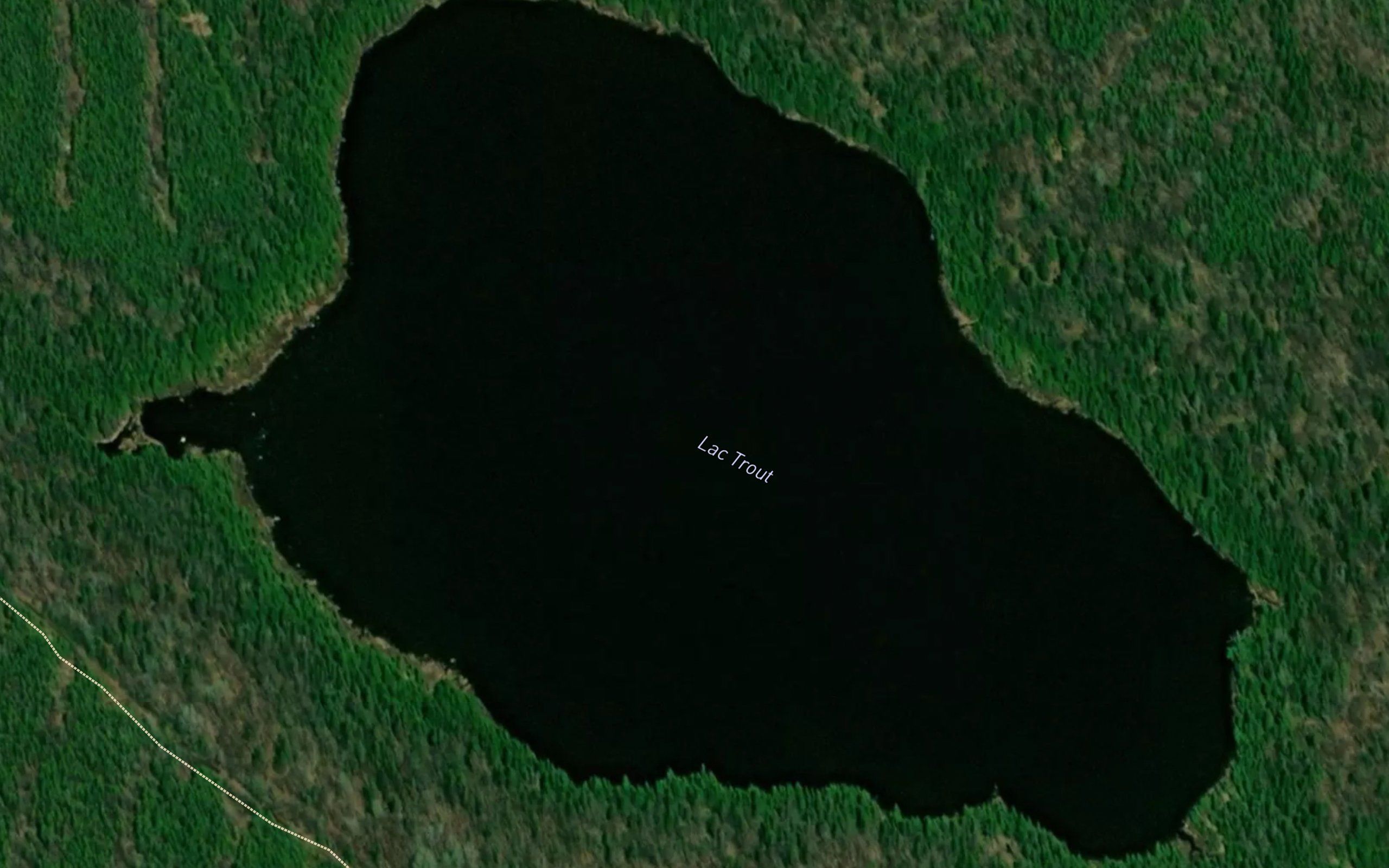 Lac Trout