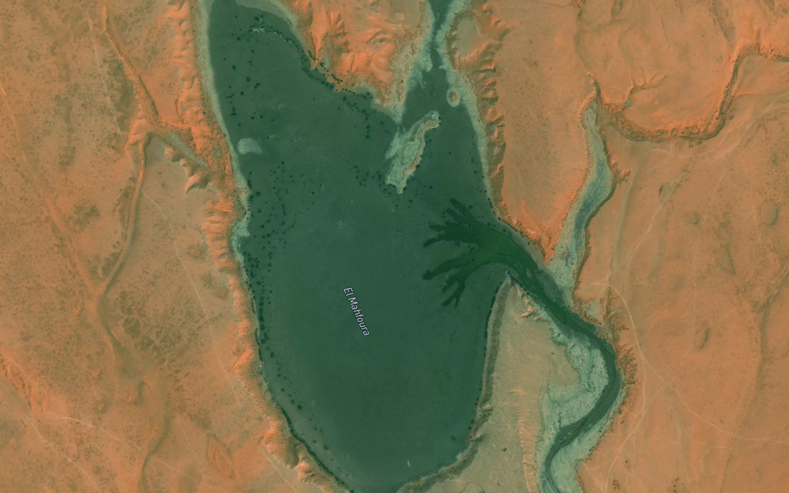 El Mahfoura