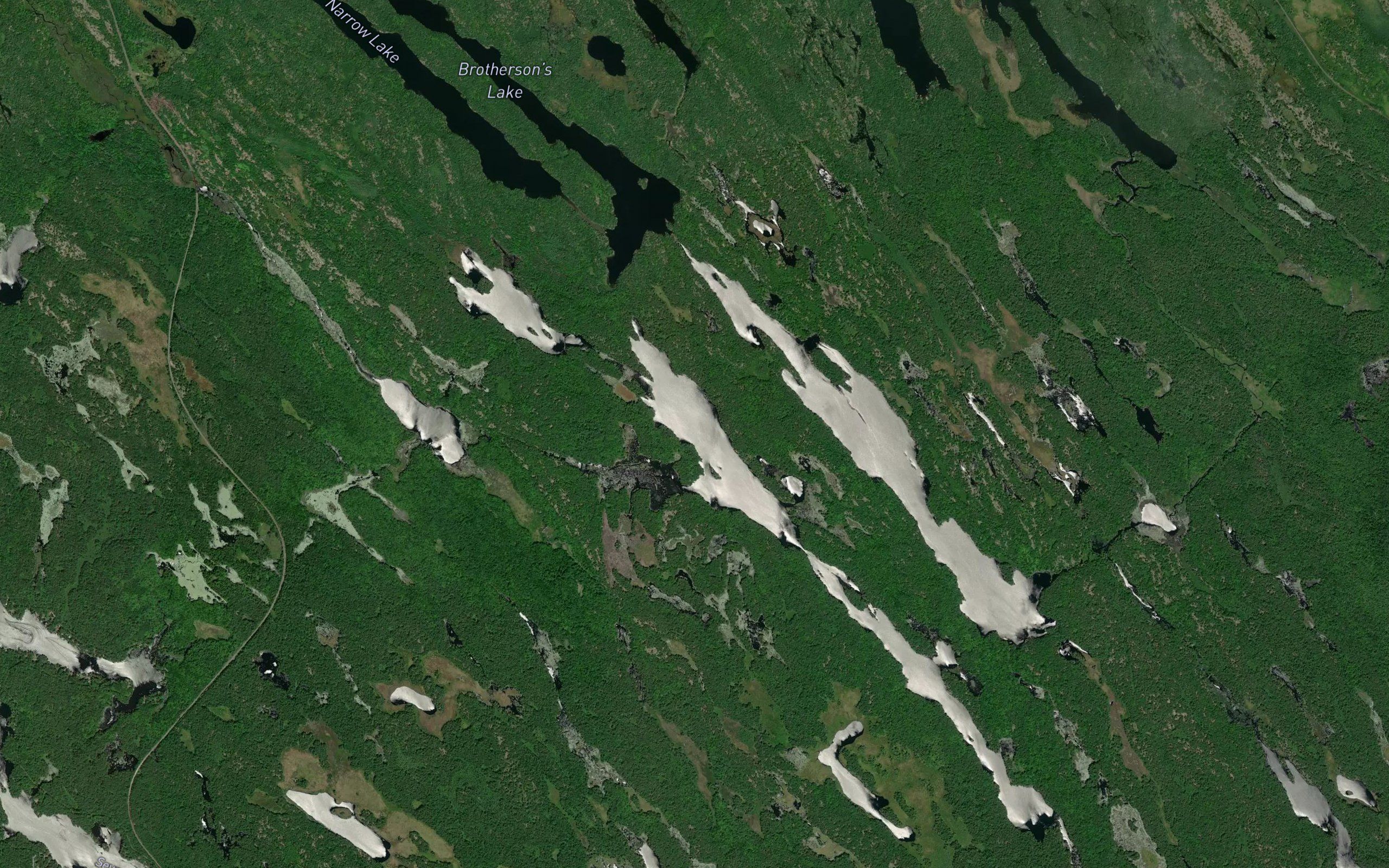 Lower Boleau Lake