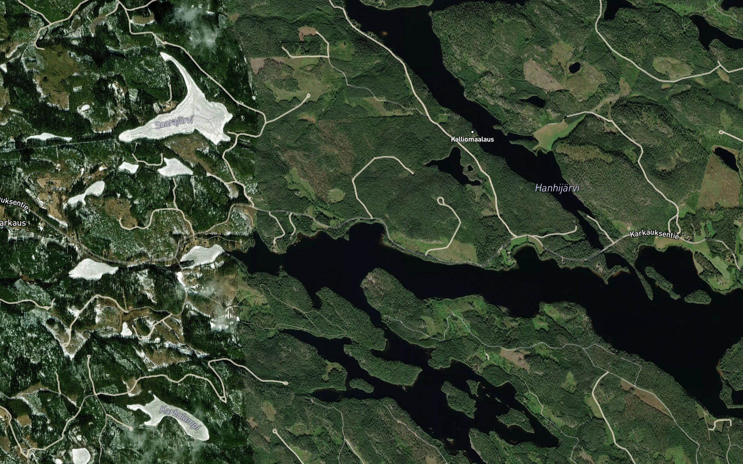 Hohisevanlahti