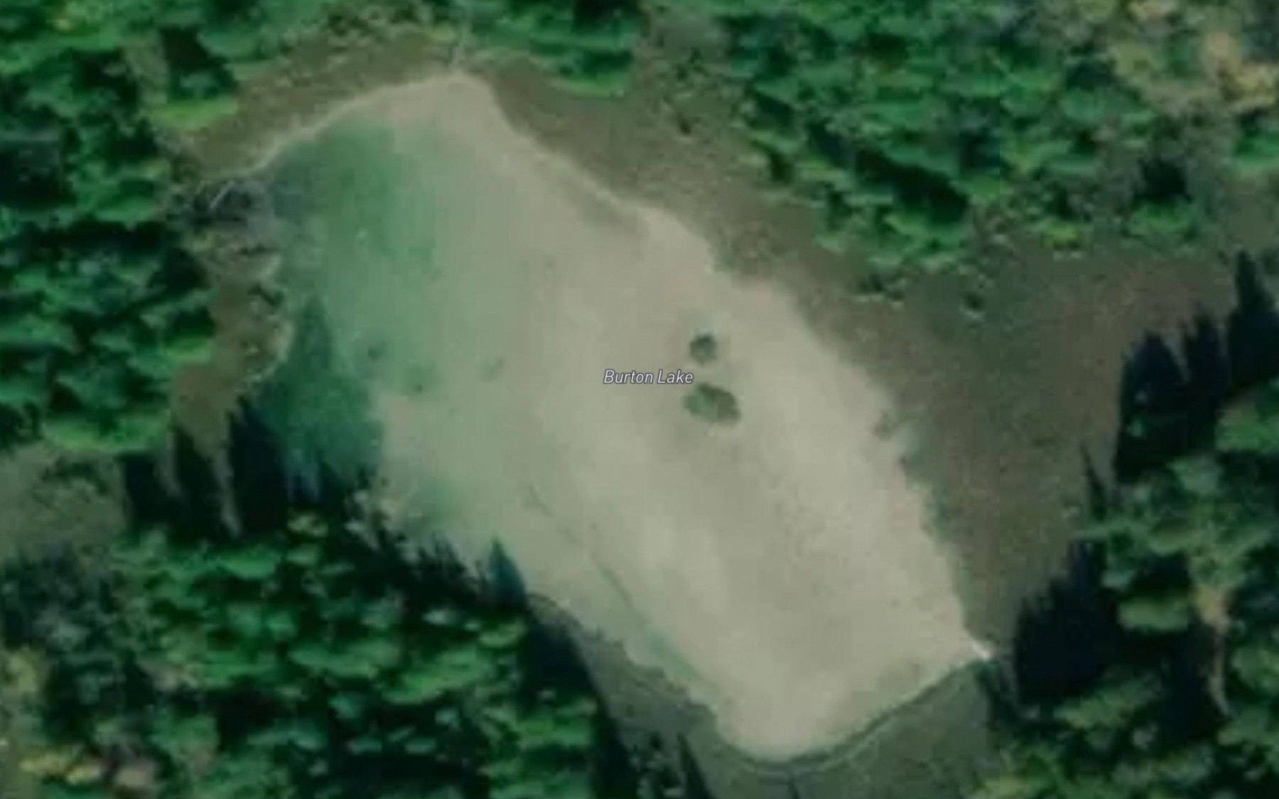 Satellite map of the Burton Lake
