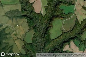 Cook Branch