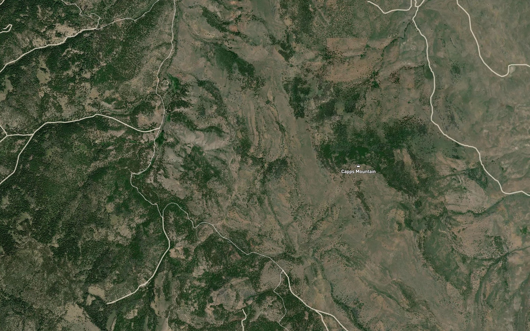 Satellite map of the Pine Tree Spring