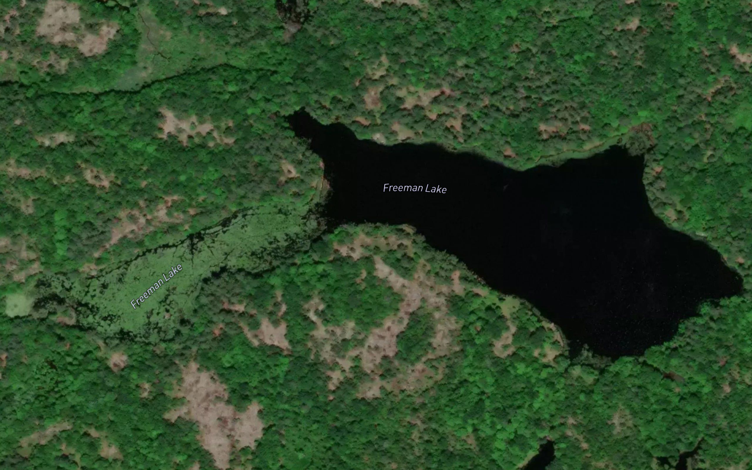 Freeman Lake