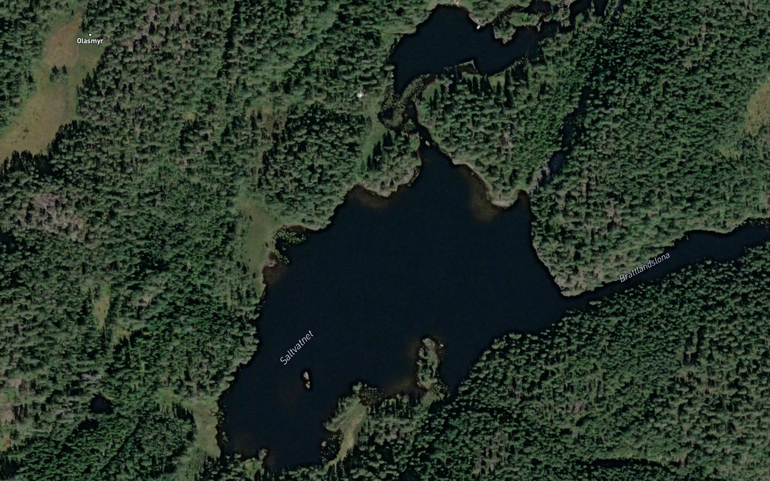 Saltvatnet
