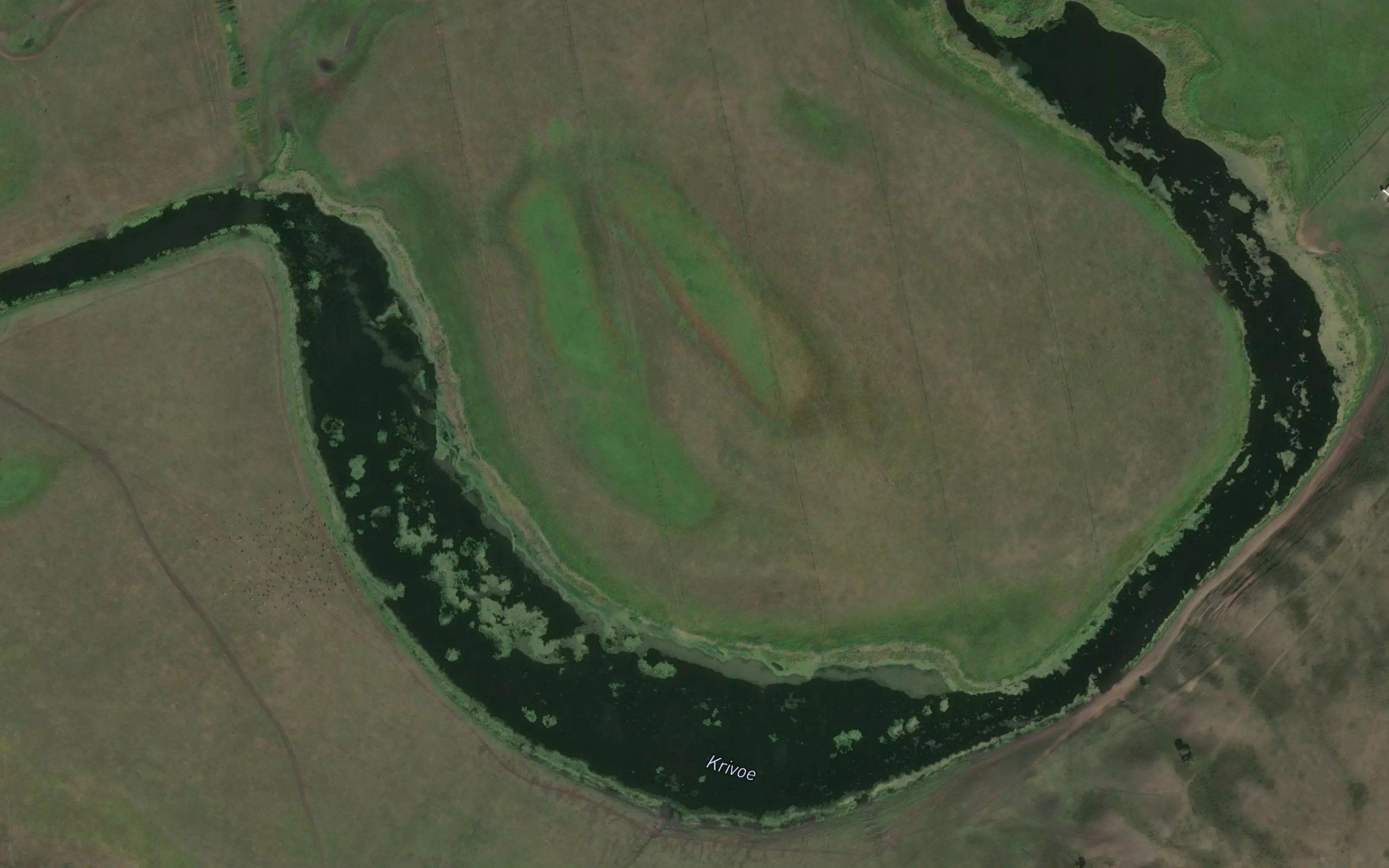 Ozero Krivoye