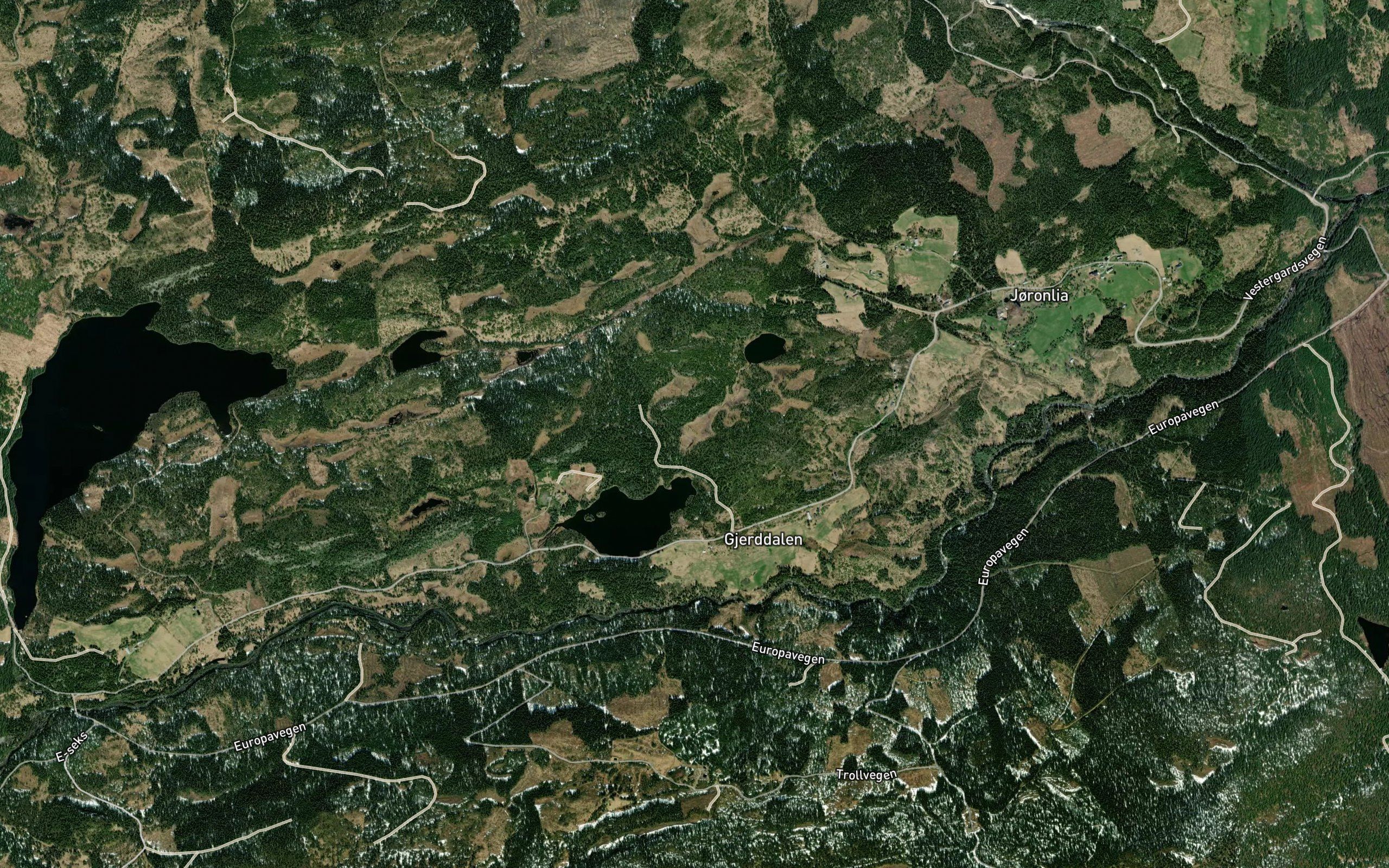 Skjorlia