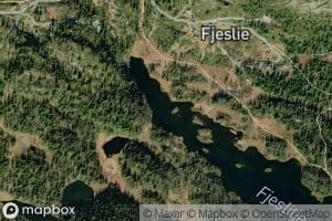 Fjeslitjednet