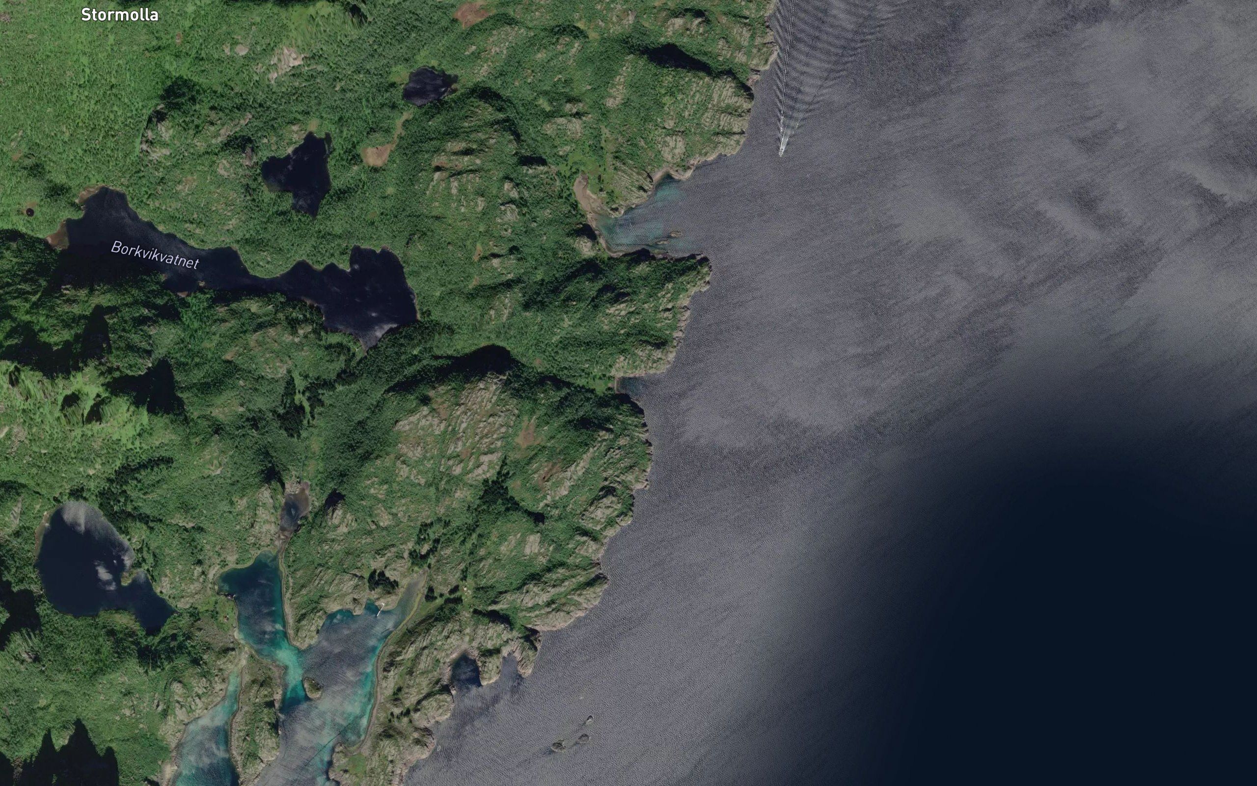 Borkvika