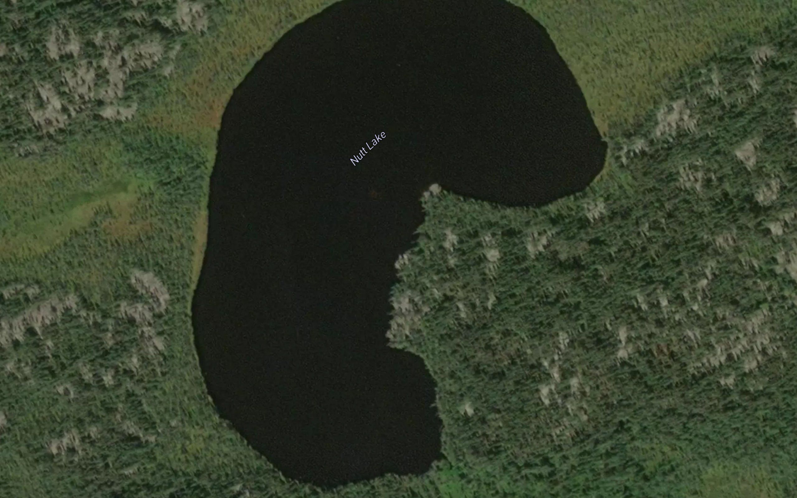 Nutt Lake