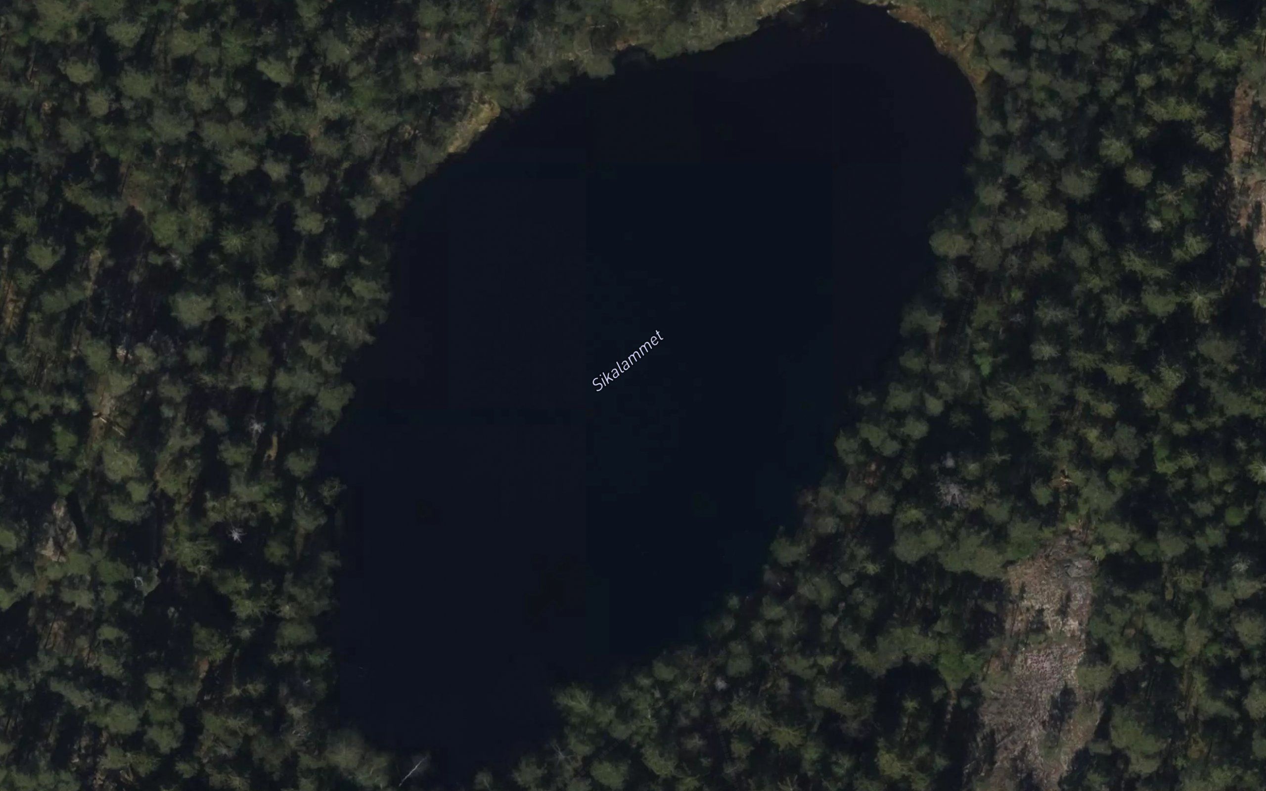 Sikalammet