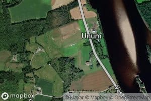 Unumsaa