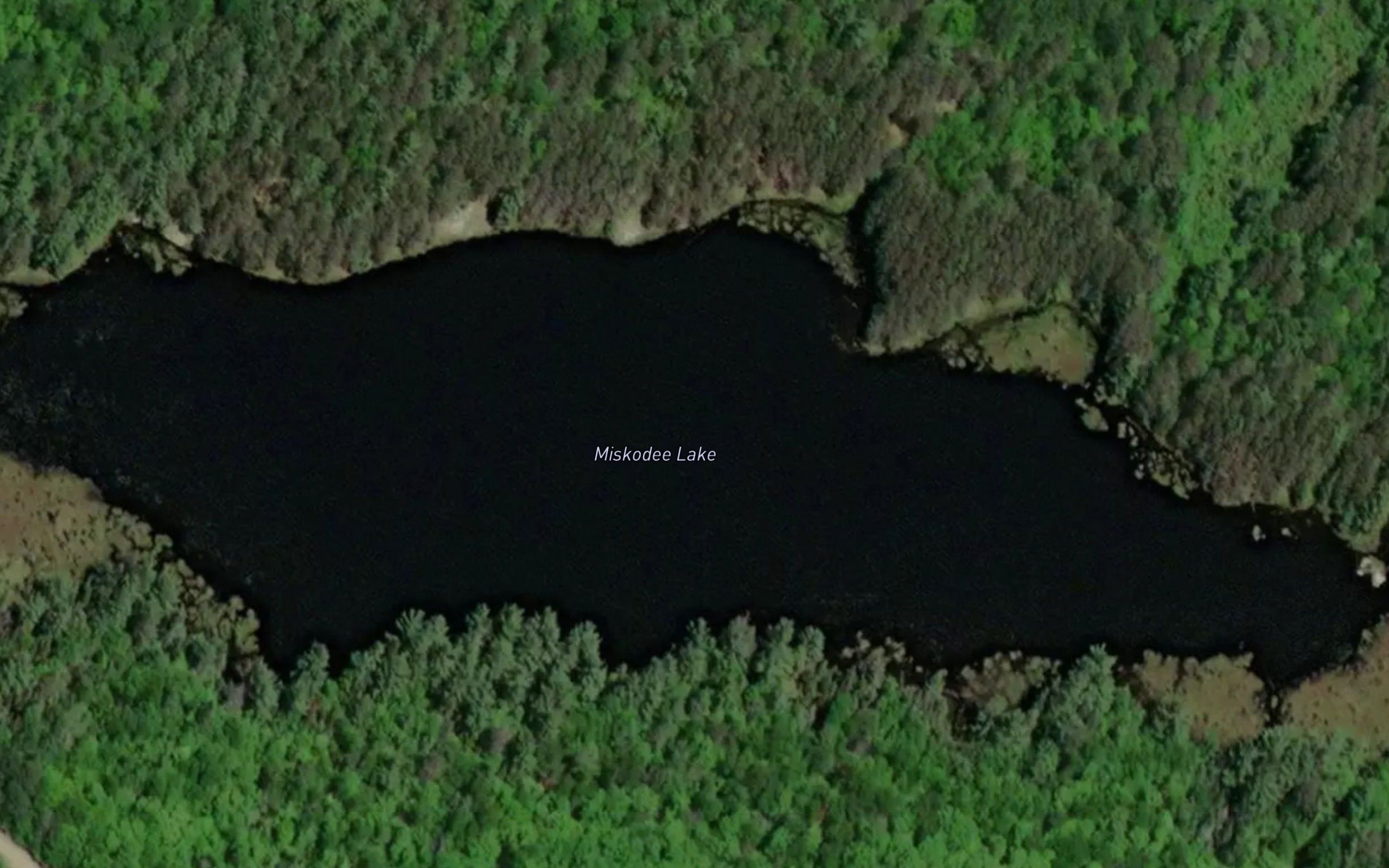 Miskodee Lake