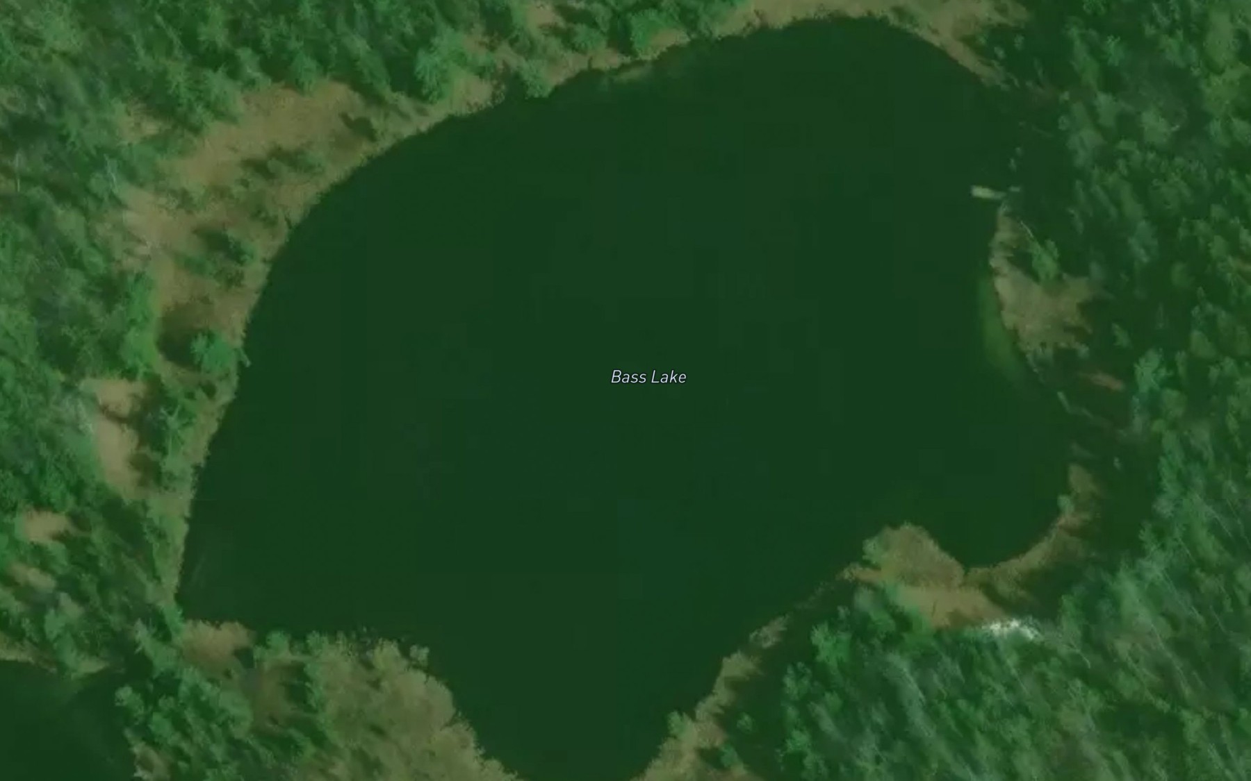Satellite map of the Bass Lake