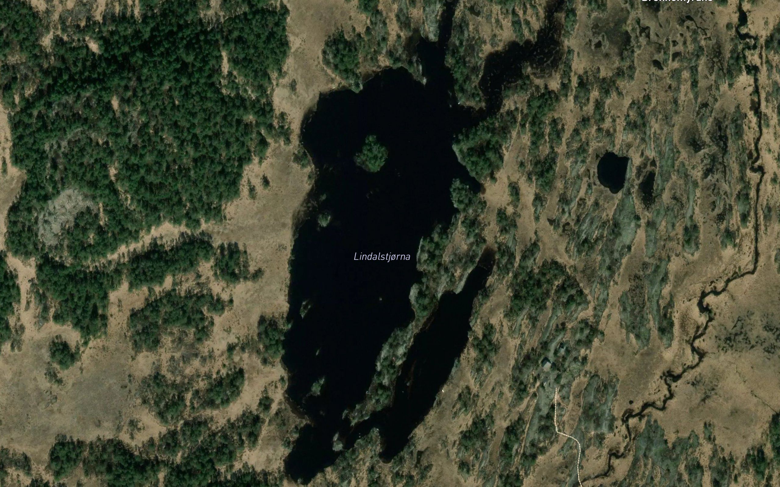 Lindalstjorna