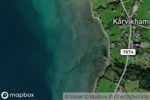 Karvika