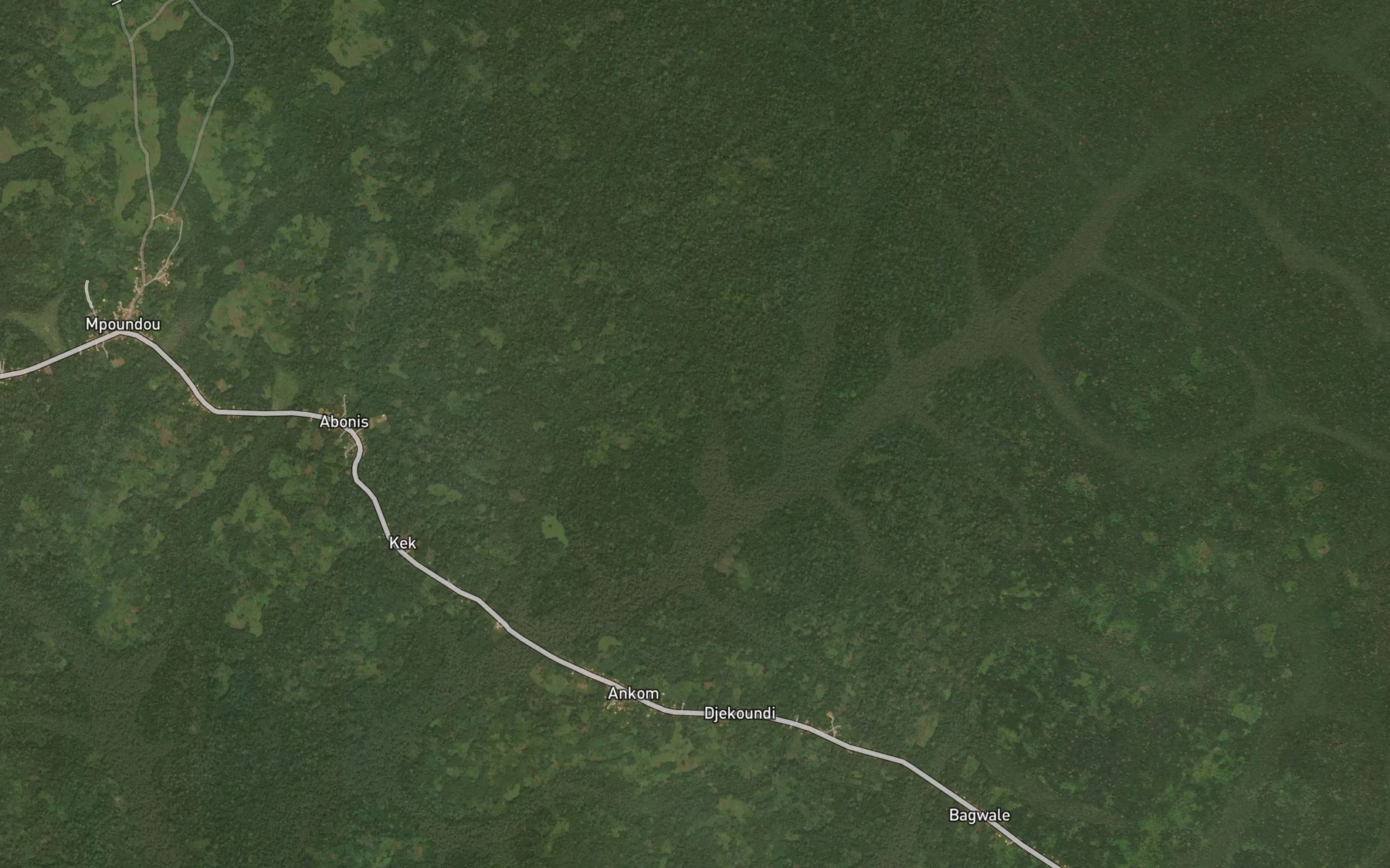 Satellite map of the Bougouma