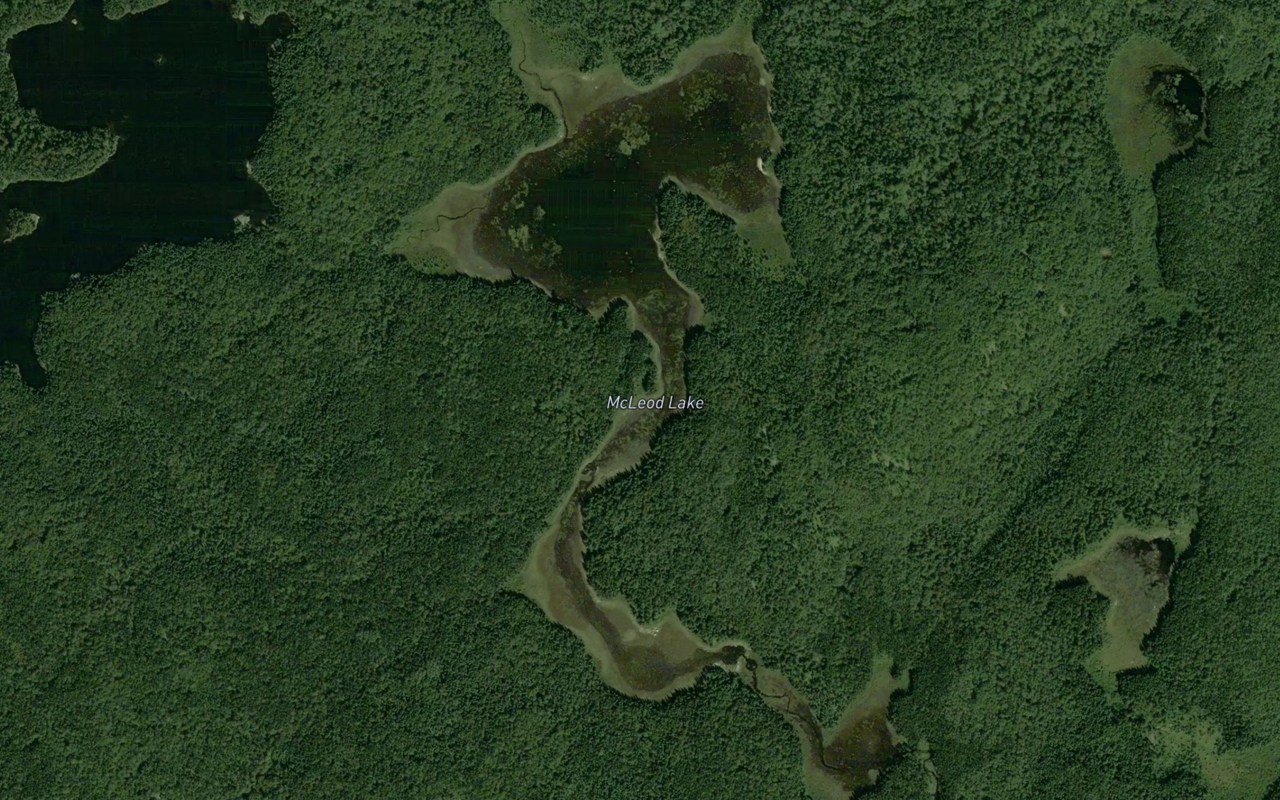 Satellite map of the McLeod Lake