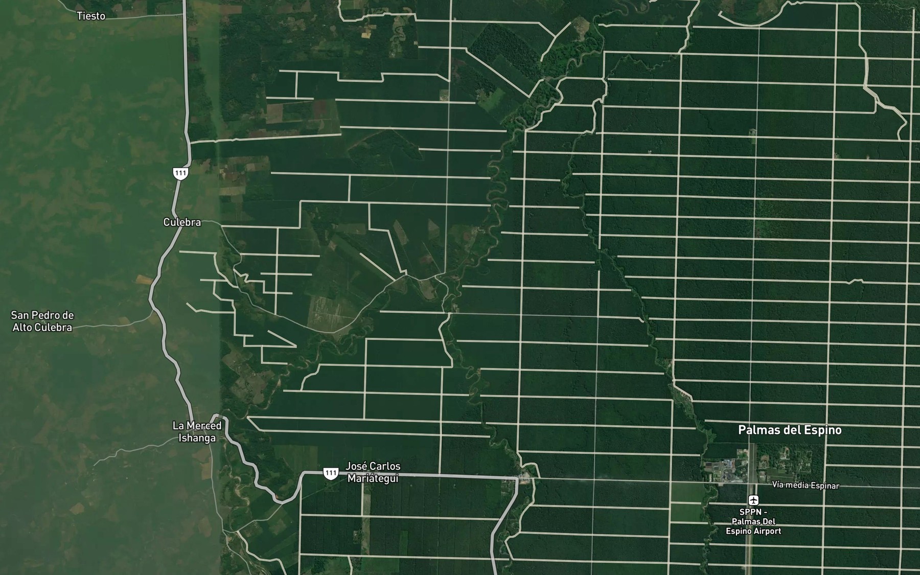 Satellite map of the Rio Tomas
