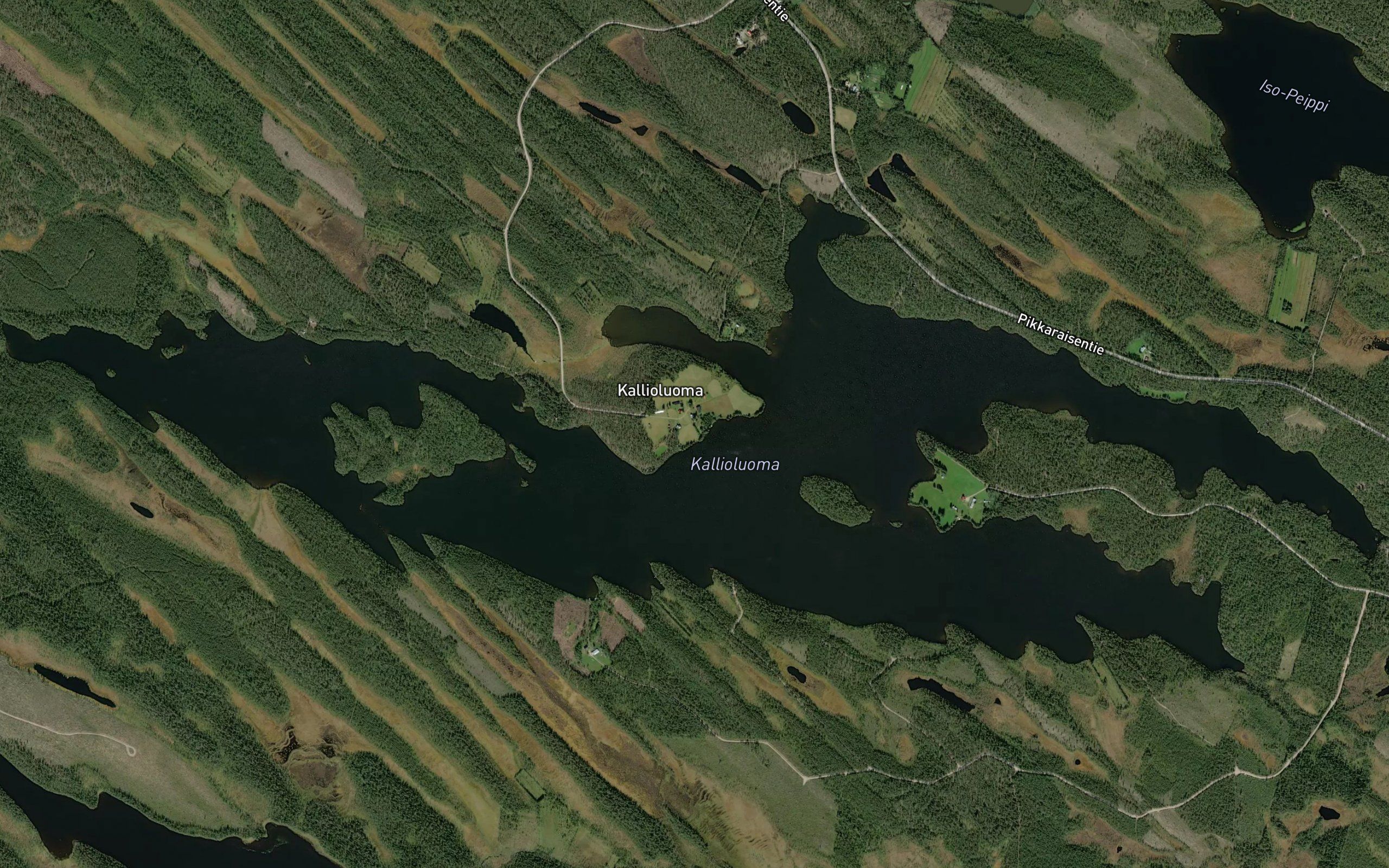 Kallioluoma