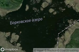 Ozero Borkovskoye