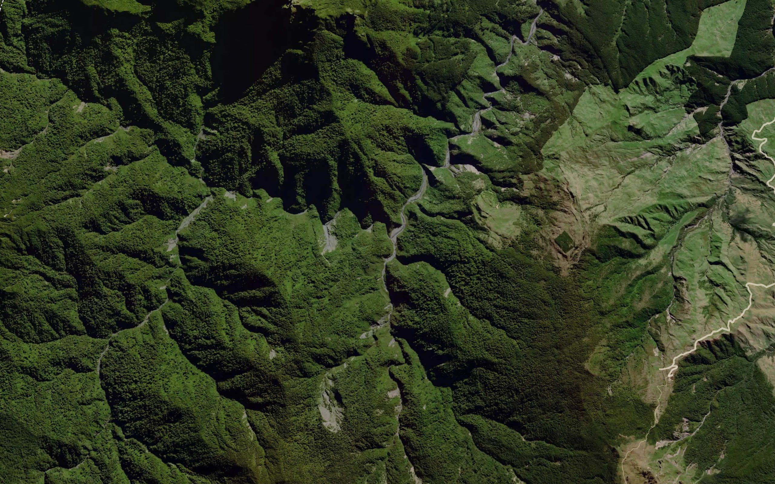 Mangarata Stream