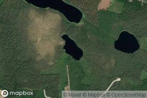 Vihilistonlampi