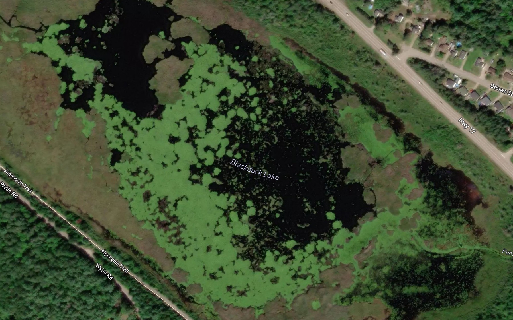 Satellite map of the Blackduck Lake