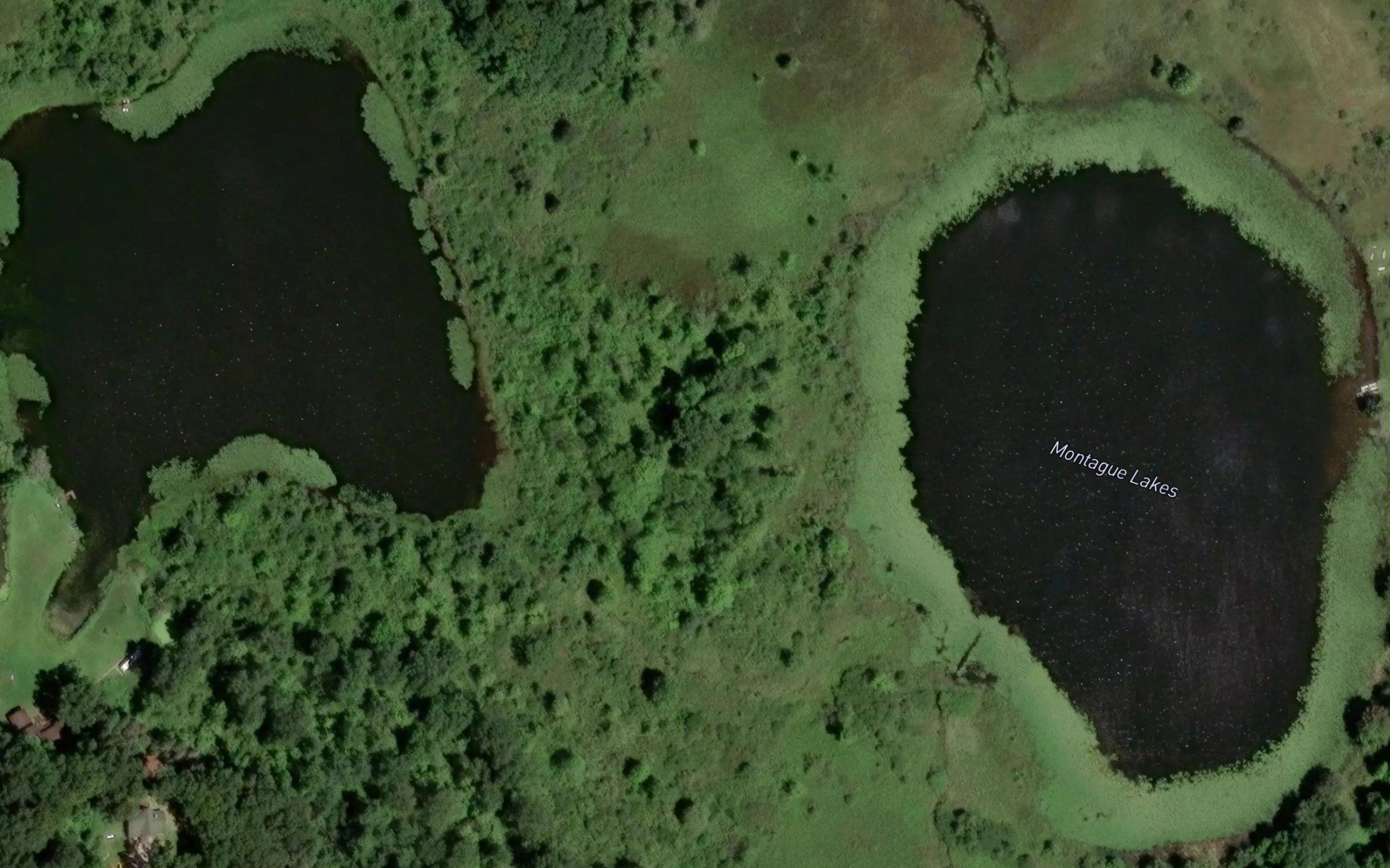 Montague Lakes