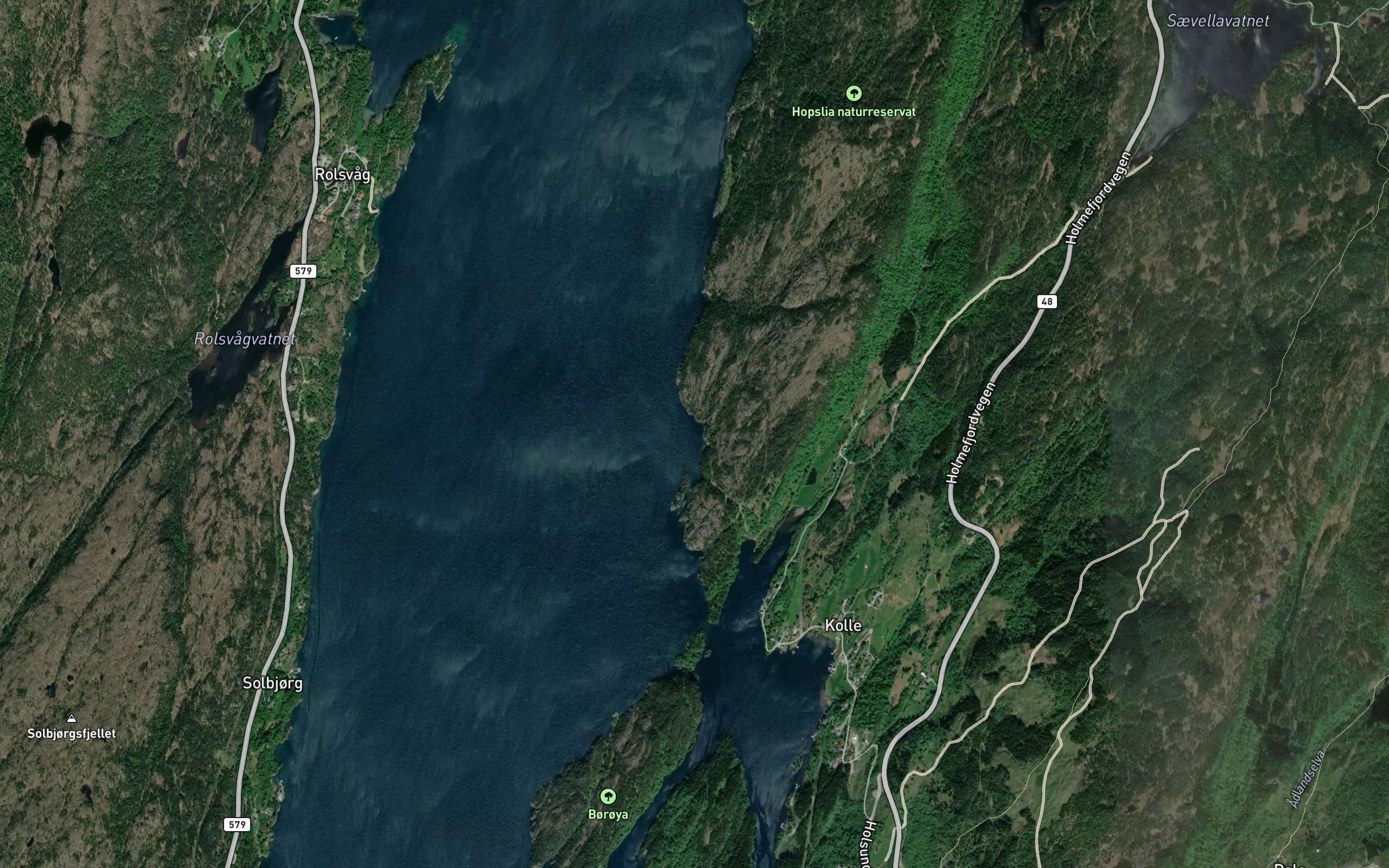 Gongvika