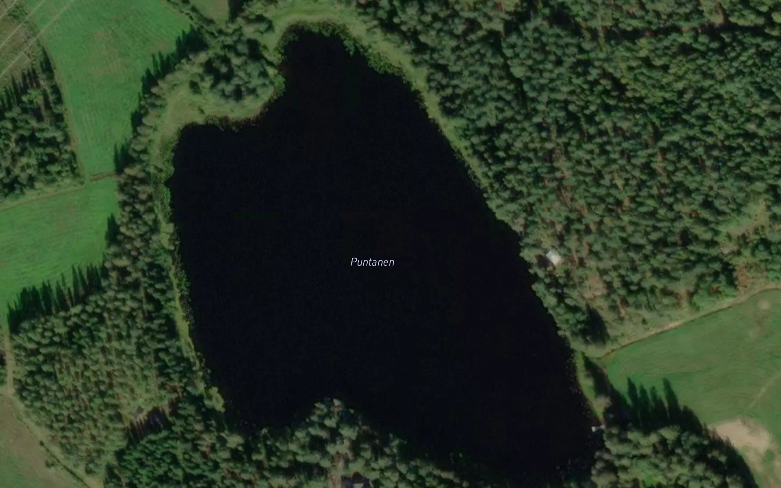 Puntanen