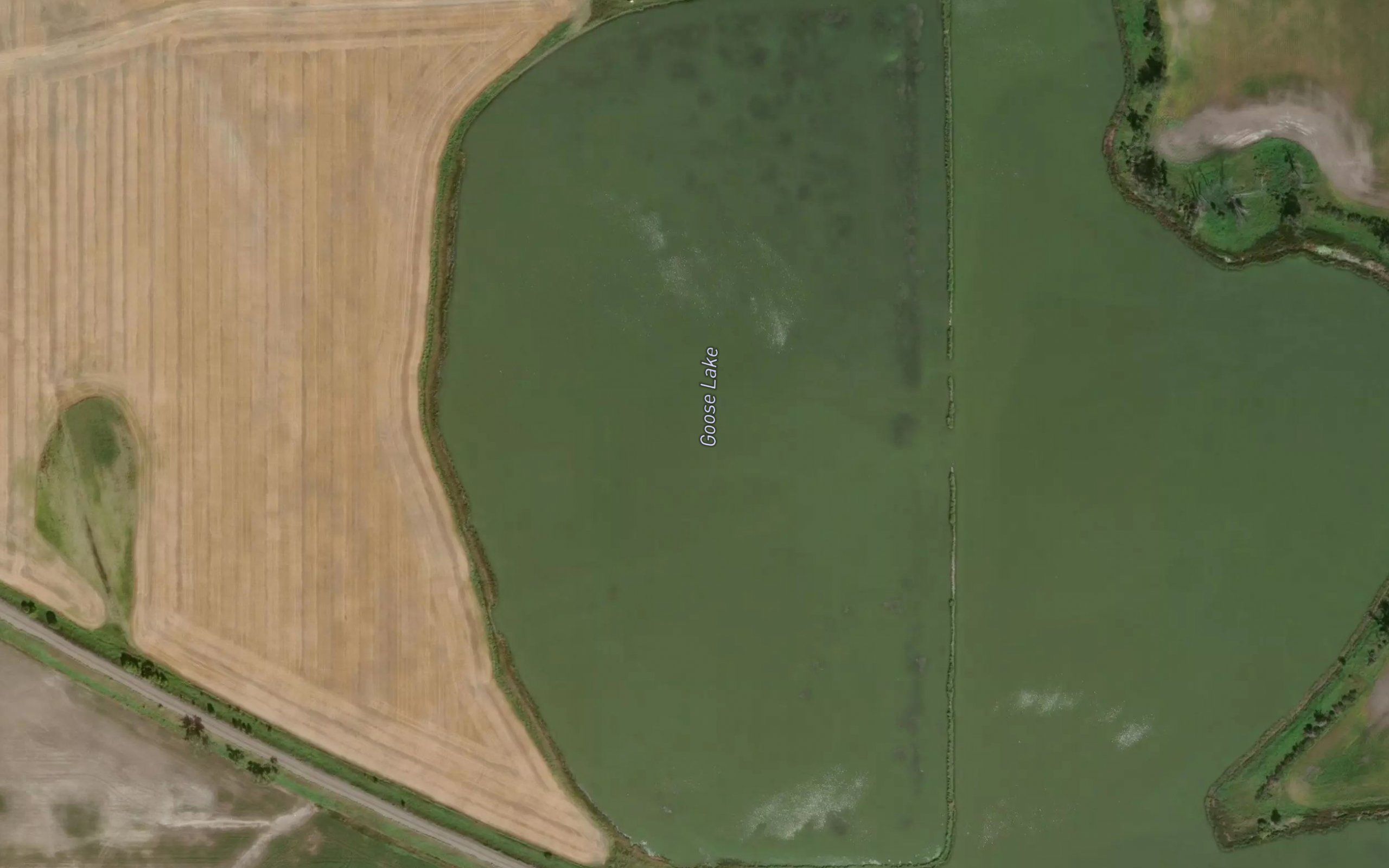 Goose Lake