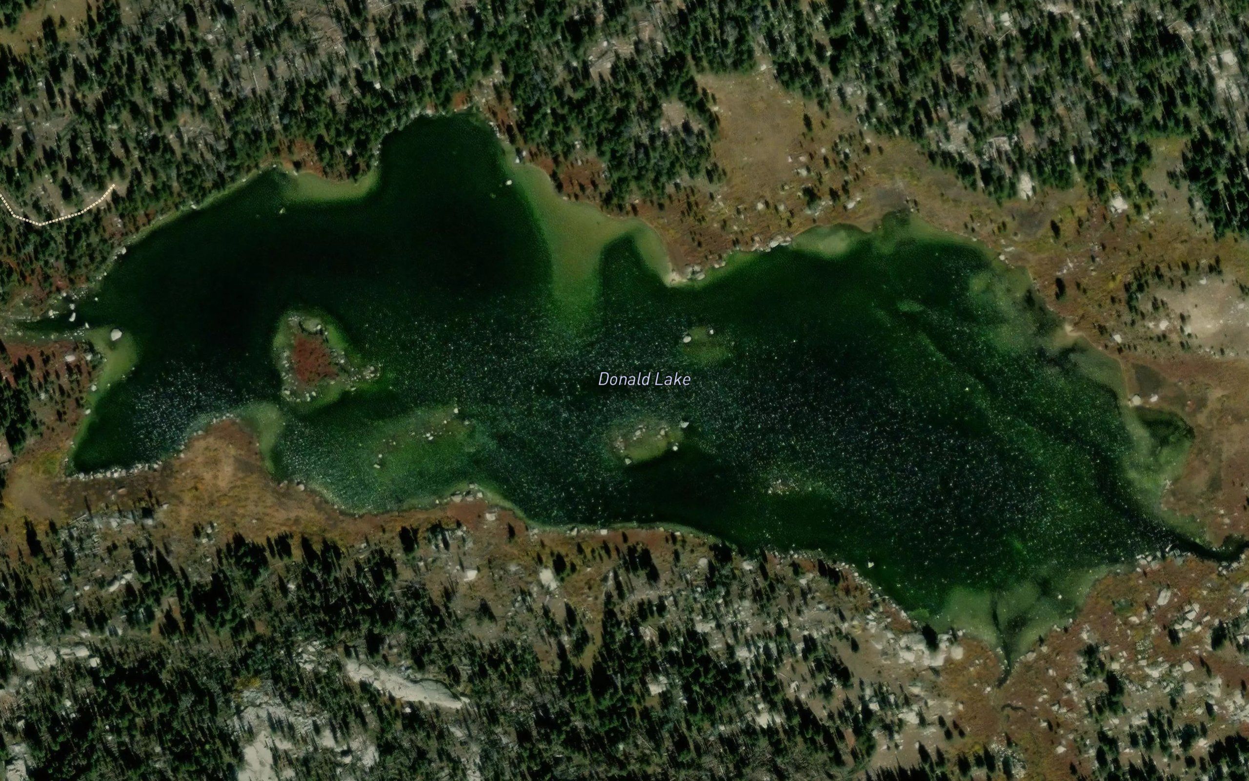 Donald Lake