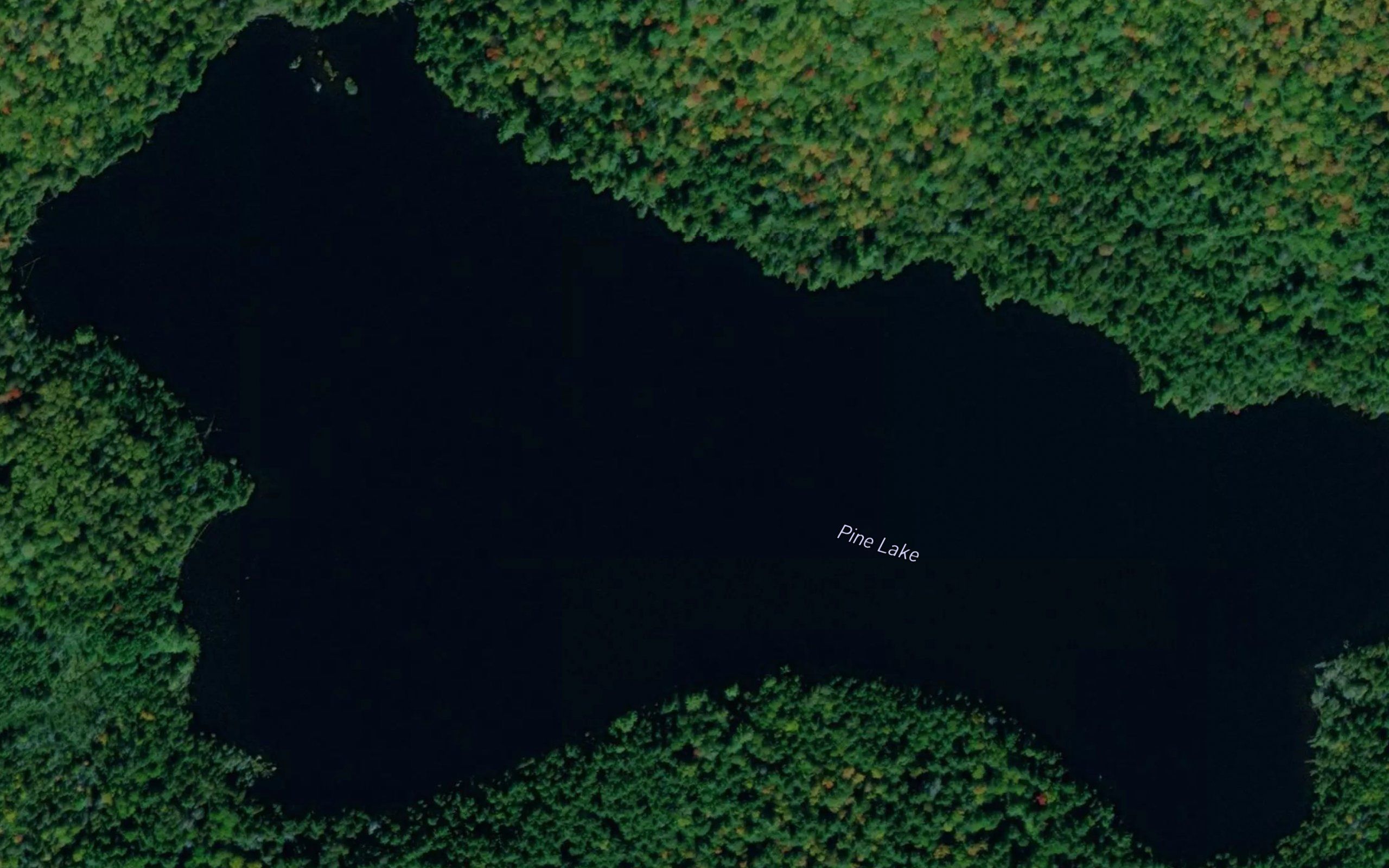 Pine Lake