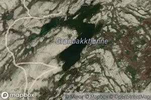 Gronbakktjorni