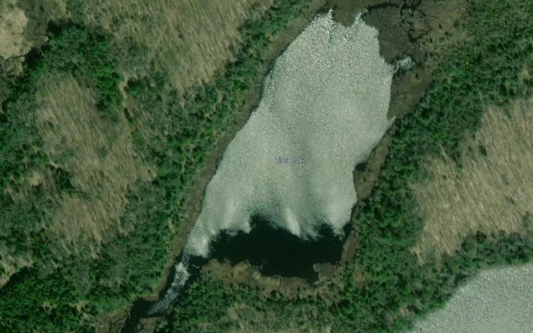 Satellite map of the Vista Lake