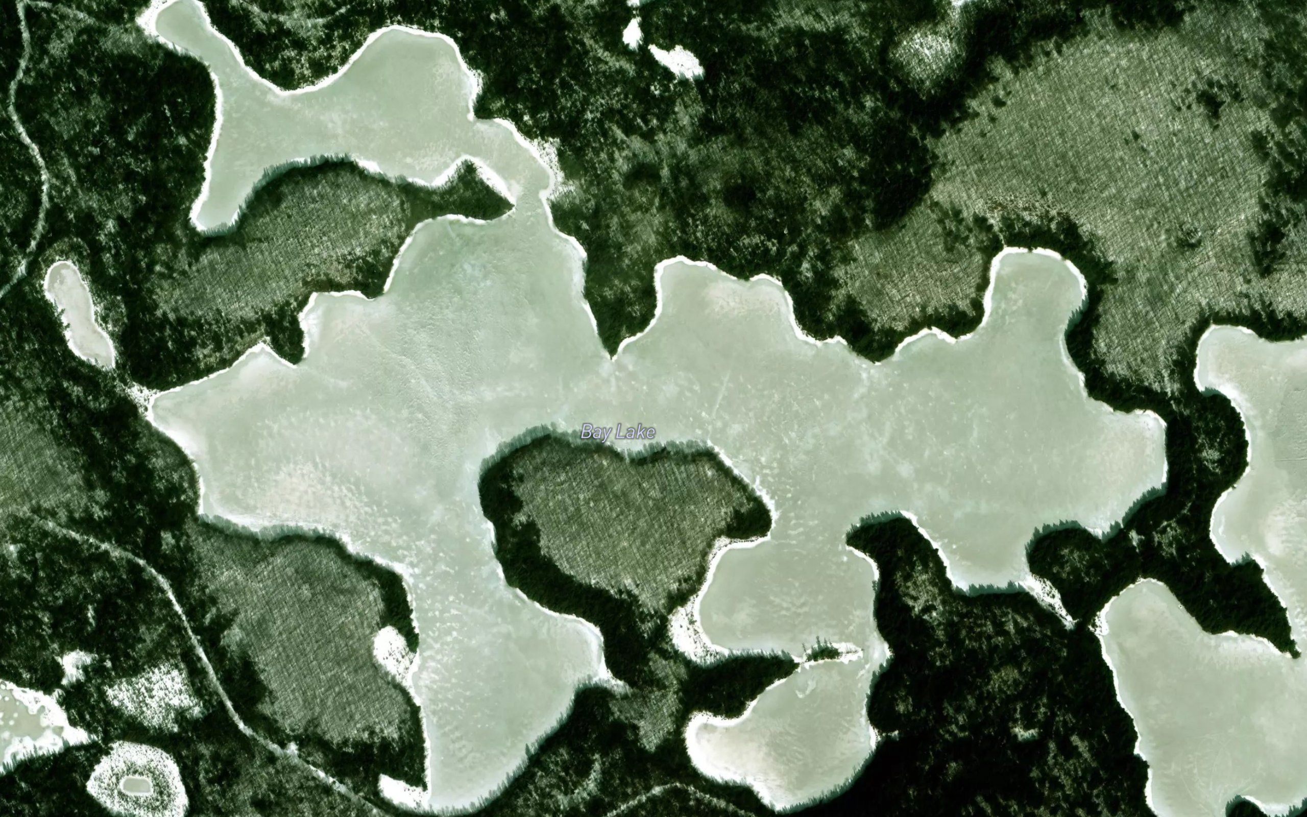 Bay Lake