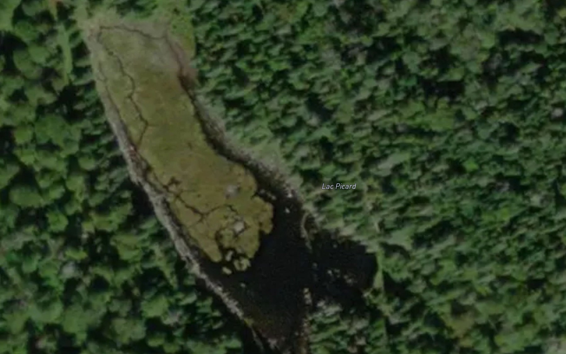 Satellite map of the Lac Picard