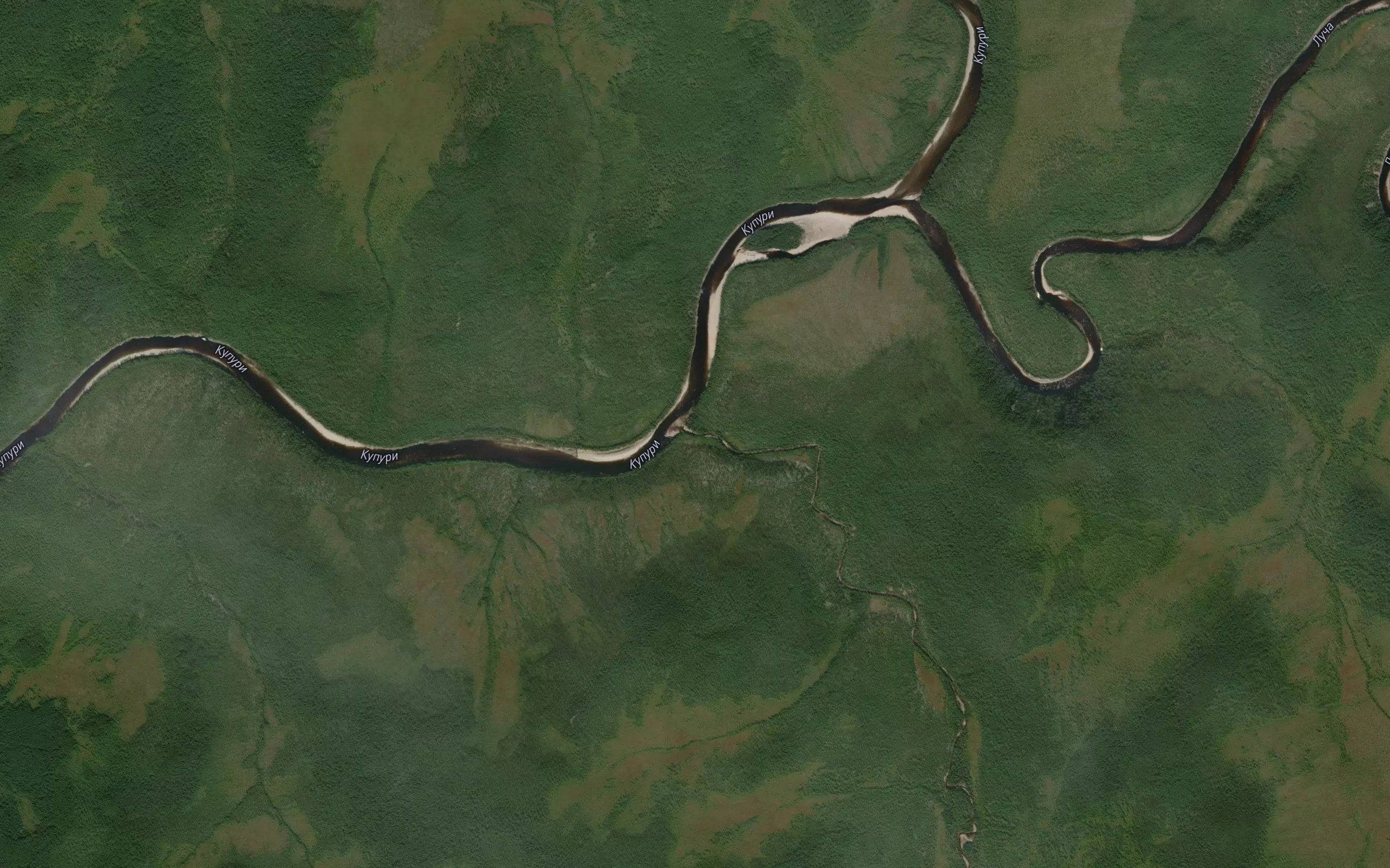 Ennoktydyak