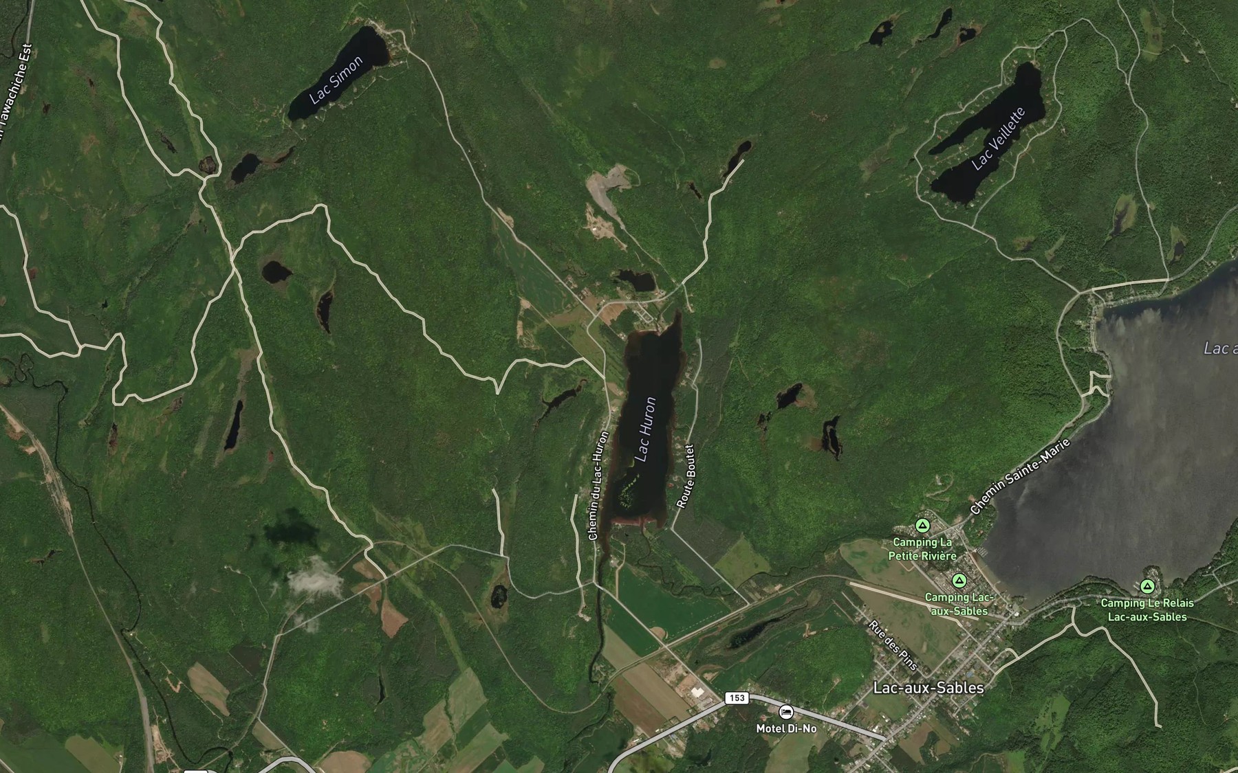 Satellite map of the Decharge du Petit Lac Bedard