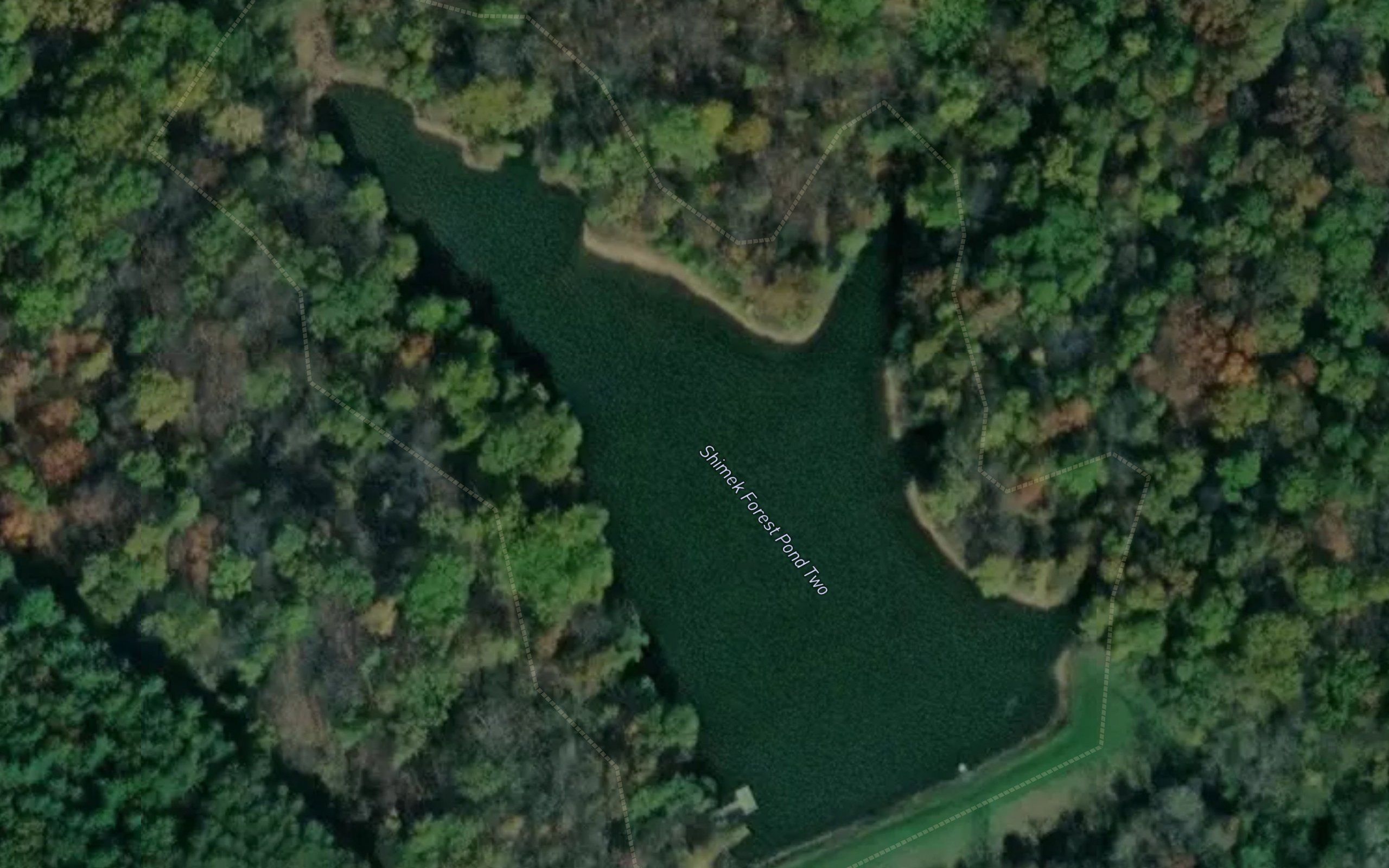Shimek Forest Pond Two