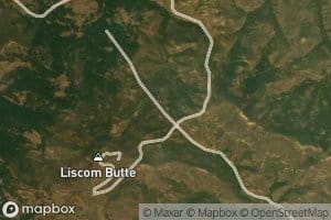 Liscom Butte Spring