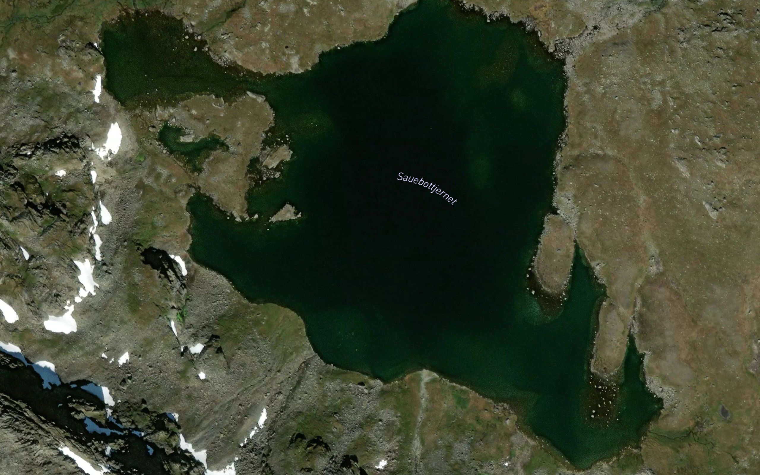 Sauebottjernet