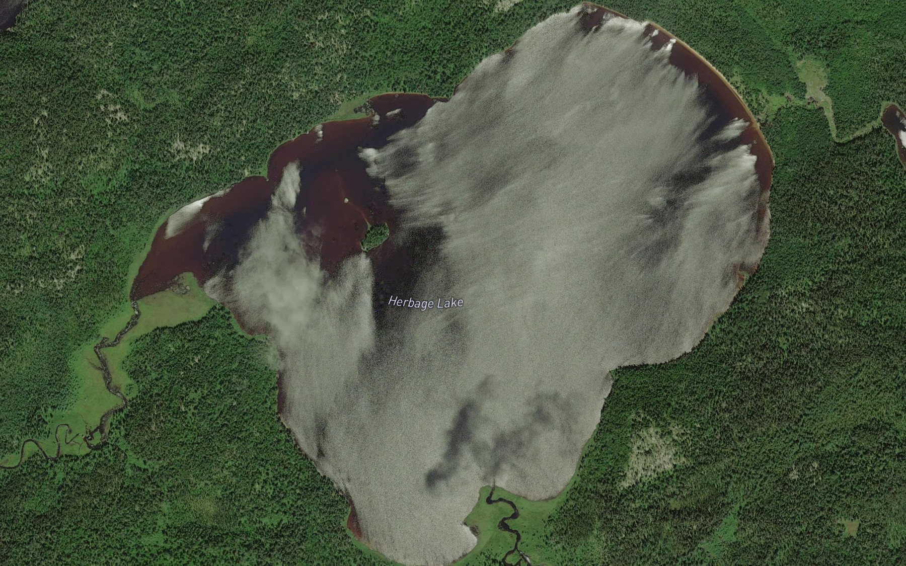 Satellite map of the Herbage Lake